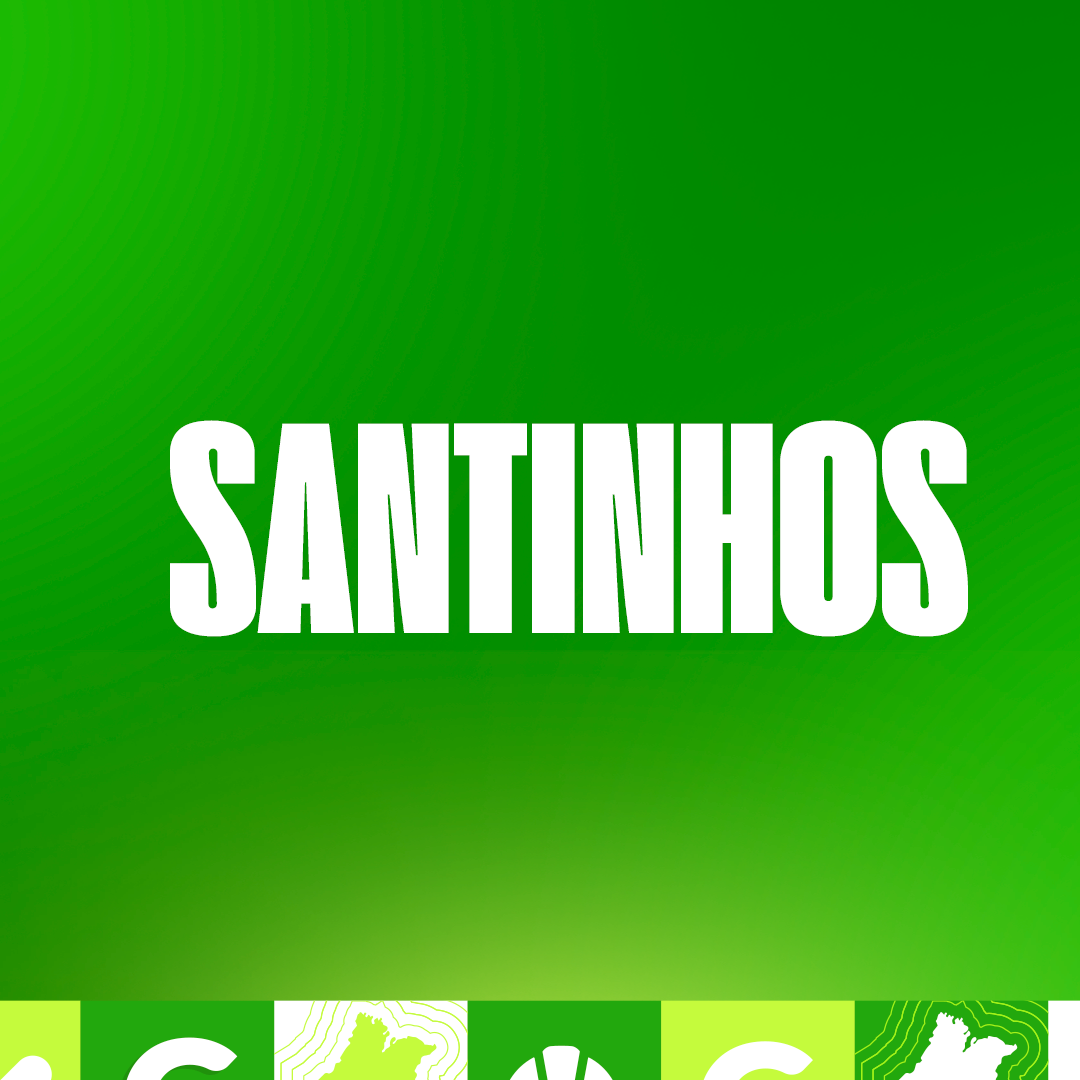 Capa Santinhos